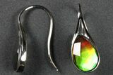 Flashy Ammolite (Fossil Ammonite Shell) Earrings with Sterling Silver #271778-1